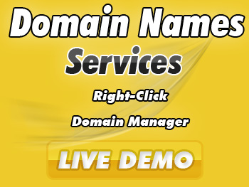 Budget domain name registration services